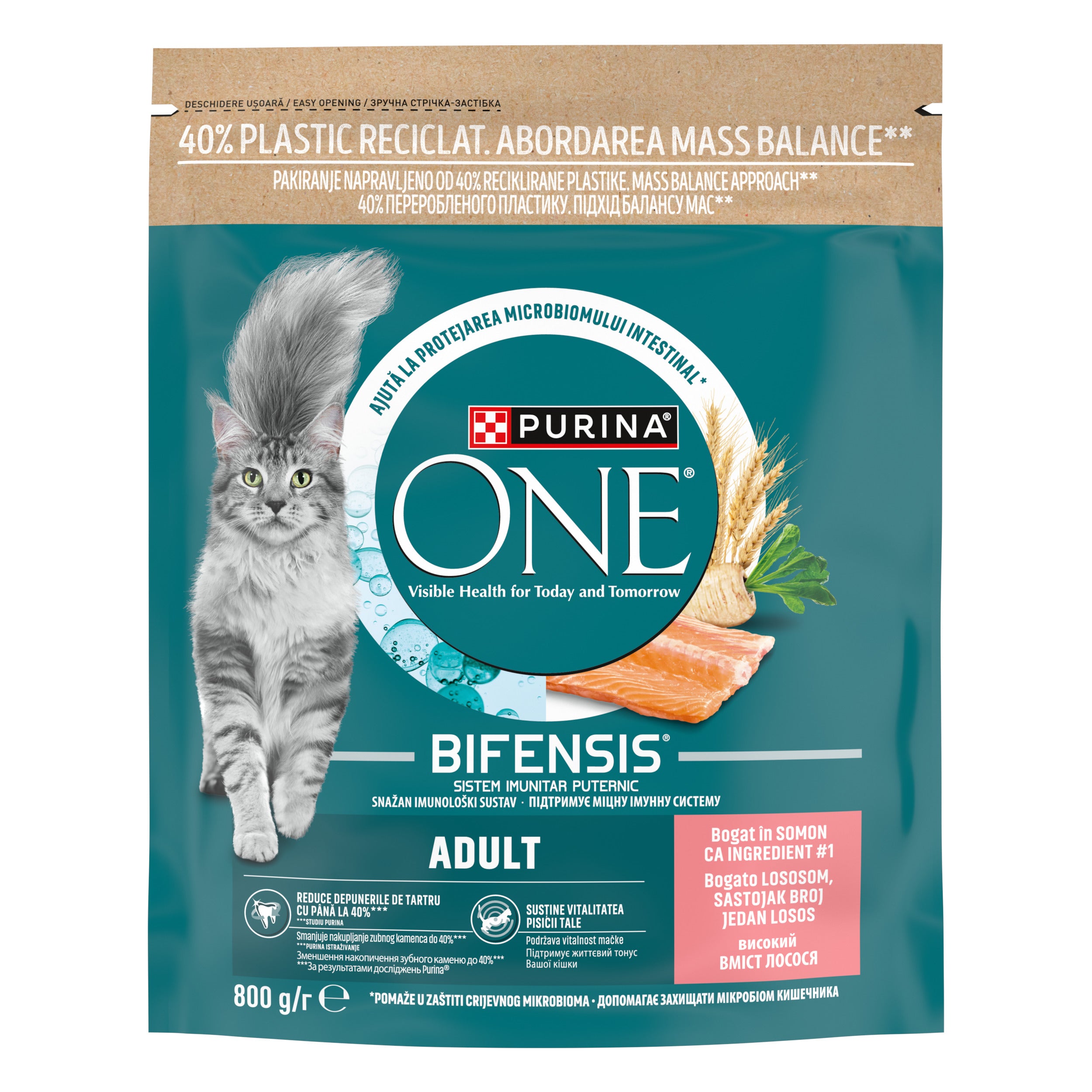 PURINA ONE® ADULT cu Somon și Cereale Integrale