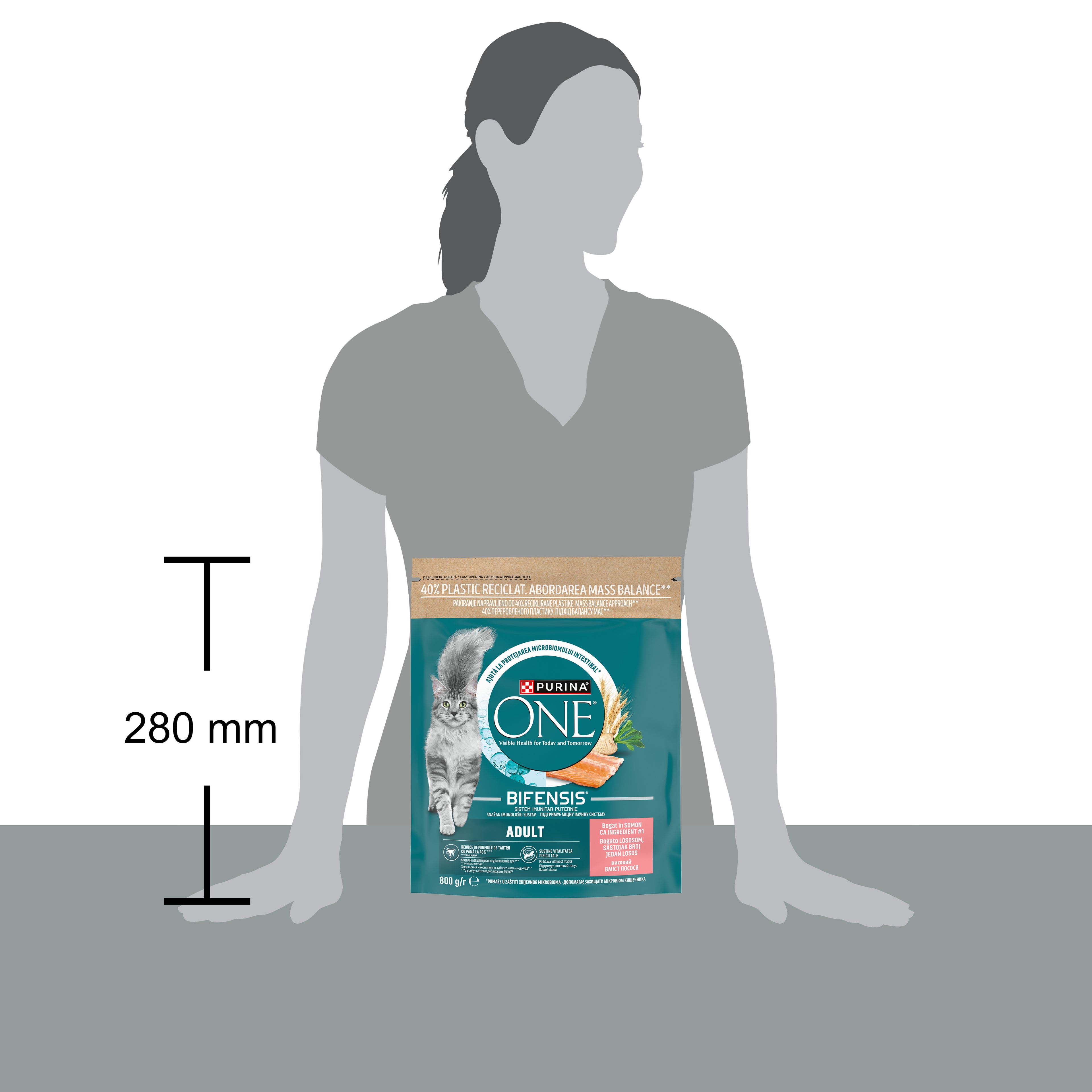 PURINA ONE® ADULT cu Somon și Cereale Integrale