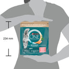 PURINA ONE® ADULT cu Somon și Cereale Integrale