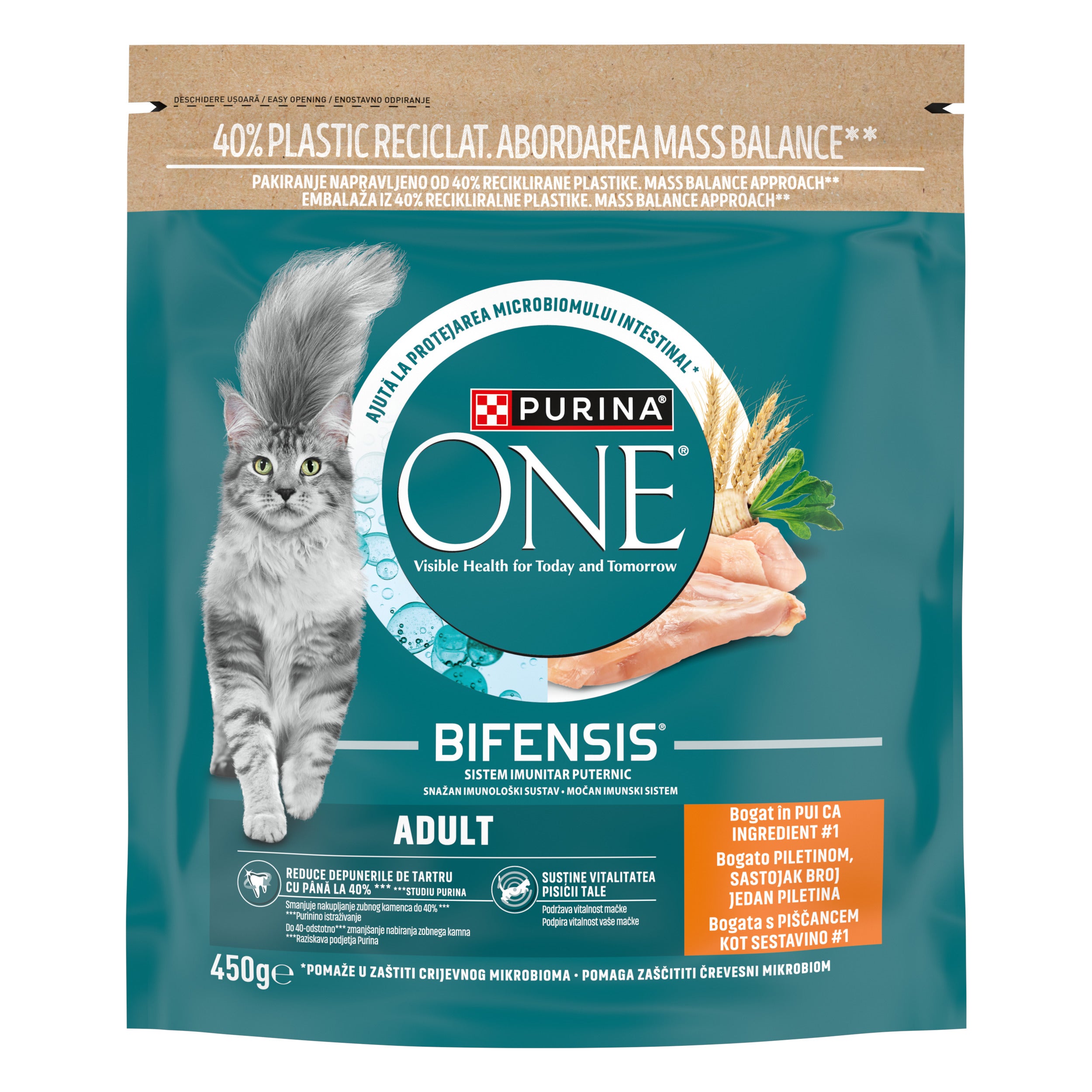 PURINA ONE® ADULT cu Pui și Cereale Integrale