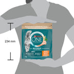 PURINA ONE® ADULT cu Pui și Cereale Integrale