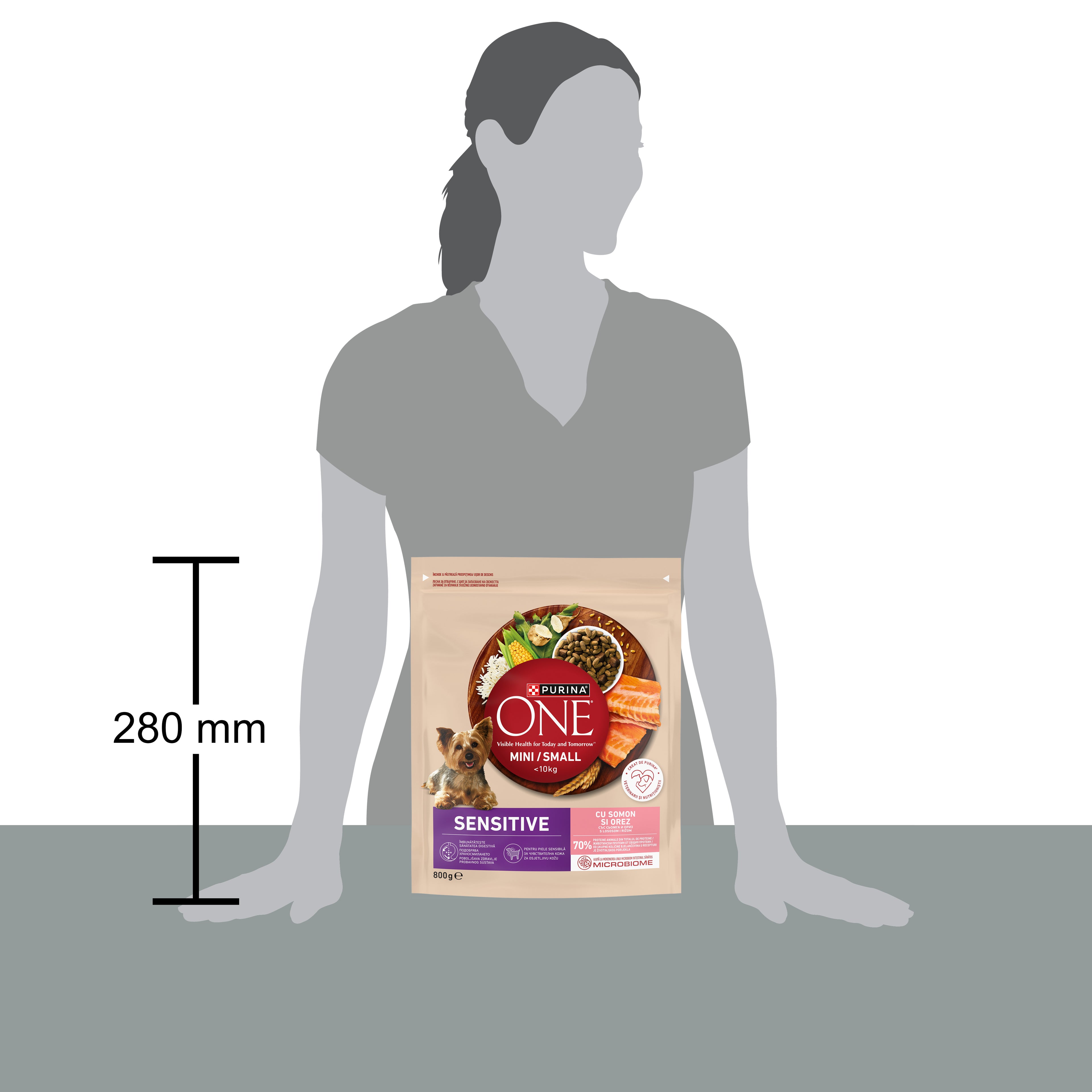 PURINA ONE® Mini Sensitive Somon & Orez – Câini talie mică, 800g