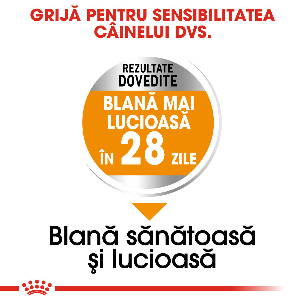 Royal Canin Mini Coat Care Adult hrana uscata caine, blana sanatoasa si lucioasa, 3 kg