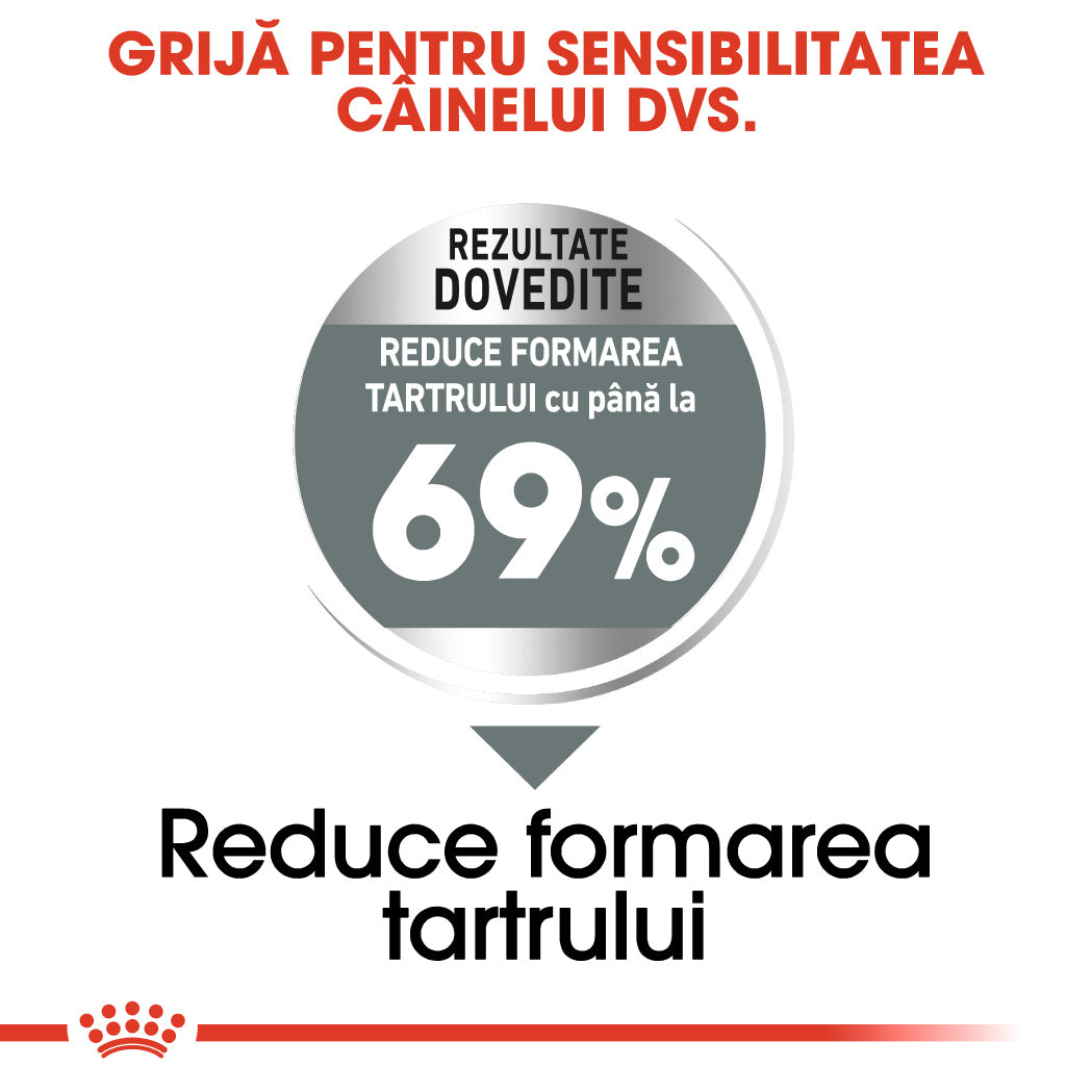 Royal Canin Mini Dental Care Adult hrana uscata caine, reducerea formarii tartrului, 1 kg