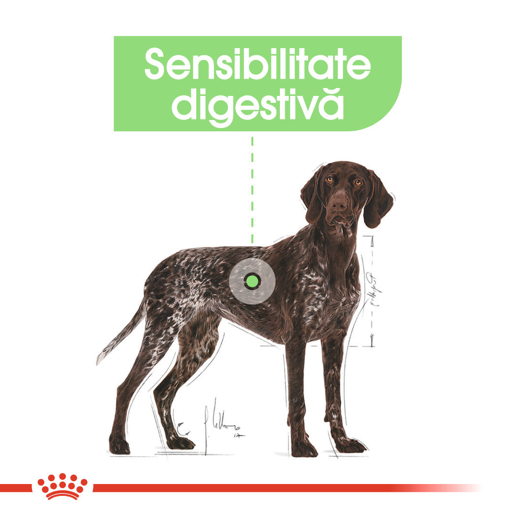 Royal Canin Maxi Digestive Care hrana uscata caine, confort digestiv, 12 kg