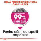 Royal Canin Mini Exigent hrana uscata caine, apetit capricios