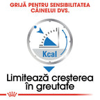 Royal Canin Light Weight Care Adult hrana umeda caine, limitarea cresterii in greutate (pate)