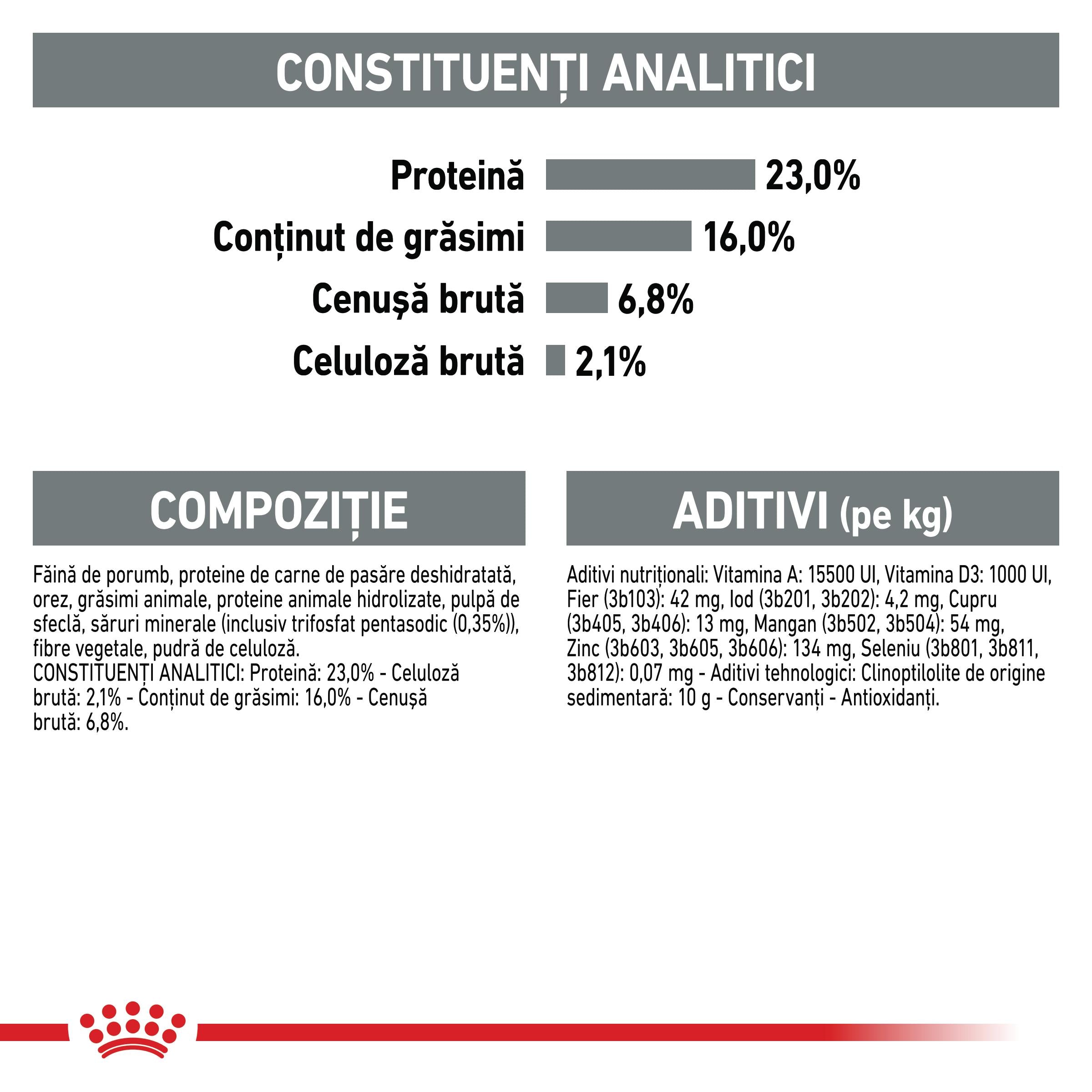 Royal Canin Mini Dental Care Adult hrana uscata caine, reducerea formarii tartrului, 1 kg
