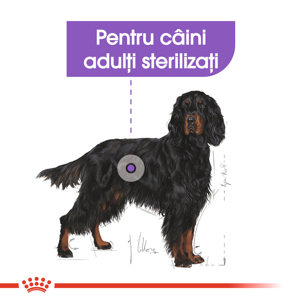 Royal Canin Maxi Sterilised Adult hrana uscata caine sterilizat, 12 kg