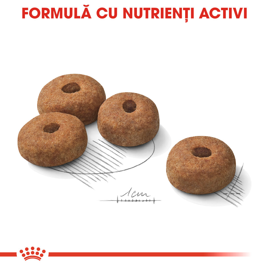 Royal Canin Maxi Sterilised Adult hrana uscata caine sterilizat, 12 kg