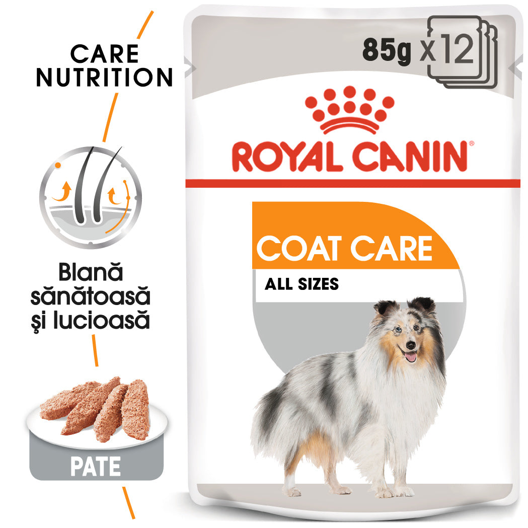 Royal Canin Coat Care Adult hrana umeda caine, blana sanatoasa si lucioasa (pate)