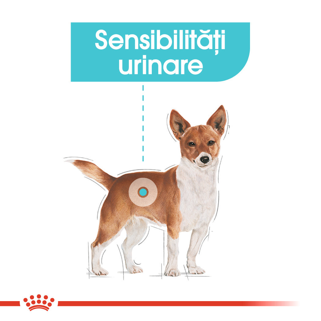 Royal Canin Urinary Care Adult hrana umeda caine, sanatatea tractului urinar (pate)
