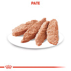 Royal Canin Urinary Care Adult hrana umeda caine, sanatatea tractului urinar (pate)