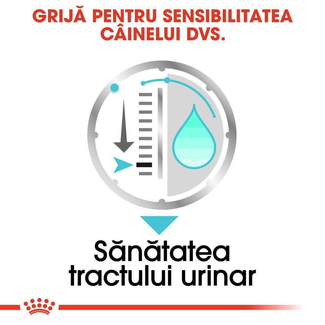 Royal Canin Urinary Care Adult hrana umeda caine, sanatatea tractului urinar (pate)