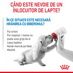 Royal Canin Babydog Milk inlocuitor lapte matern caine, 400 g