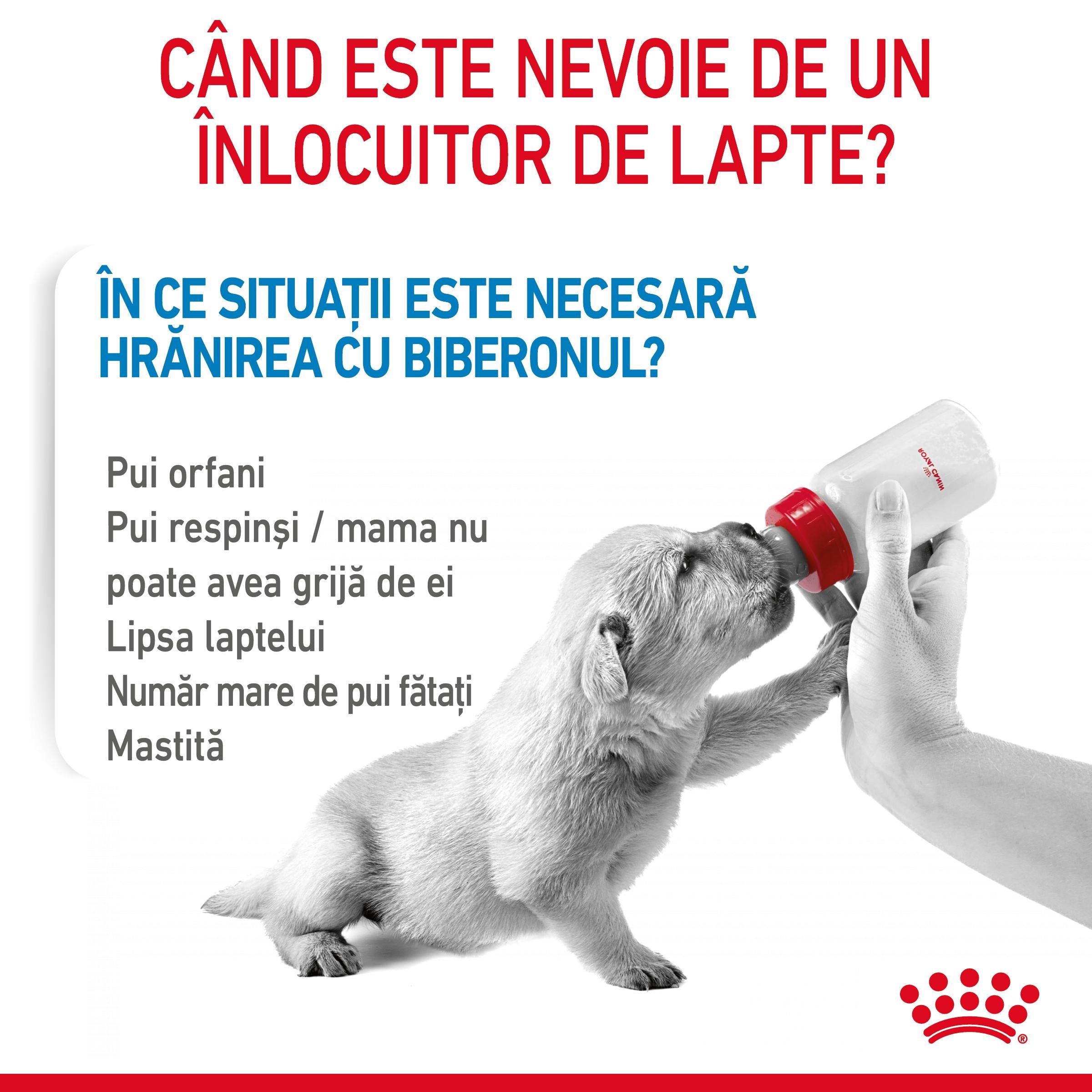 Royal Canin Babydog Milk inlocuitor lapte matern caine, 400 g