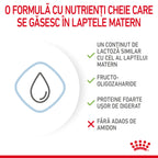 Royal Canin Babydog Milk inlocuitor lapte matern caine, 400 g