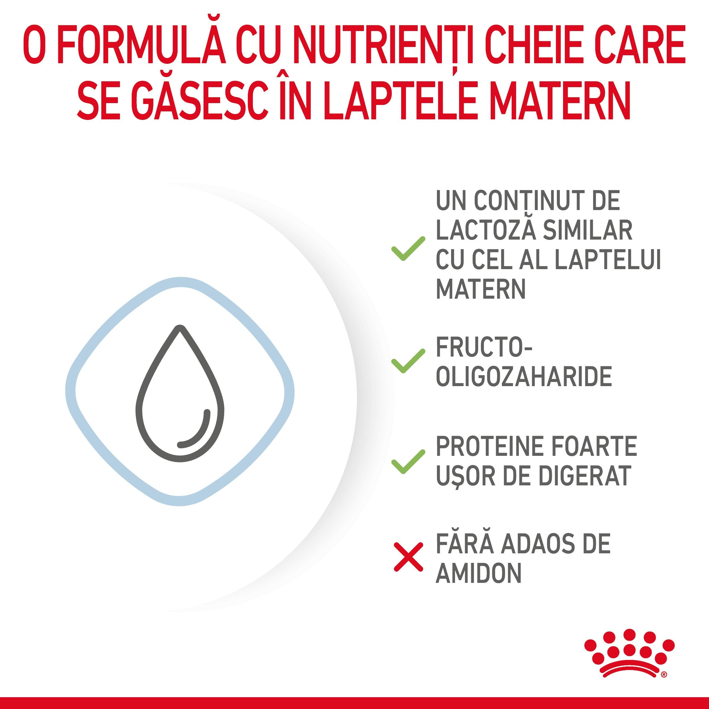 Royal Canin Babydog Milk inlocuitor lapte matern caine, 400 g