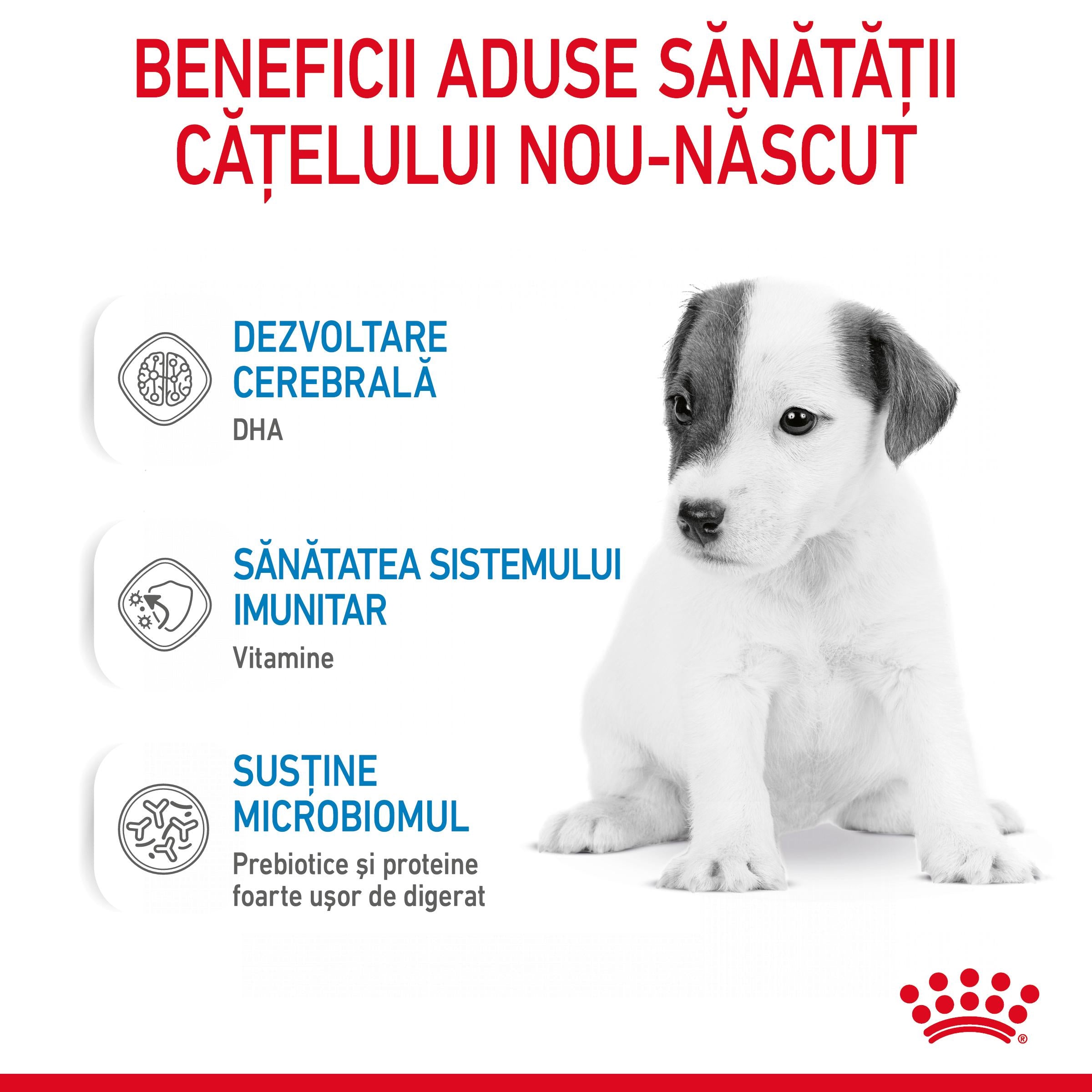 Royal Canin Babydog Milk inlocuitor lapte matern caine, 400 g