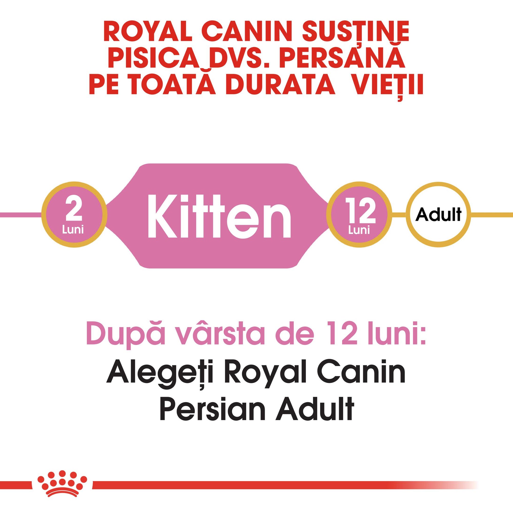 Royal Canin Persian Kitten hrana uscata pisica junior