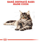 Royal Canin Maine Coon Adult hrana uscata pisica