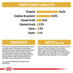 Royal Canin Maine Coon Kitten hrana uscata pisica junior