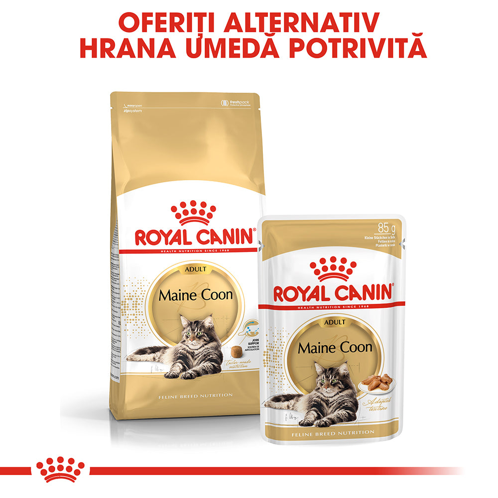 Royal Canin Maine Coon Adult hrana umeda pisica (in sos), 85 g