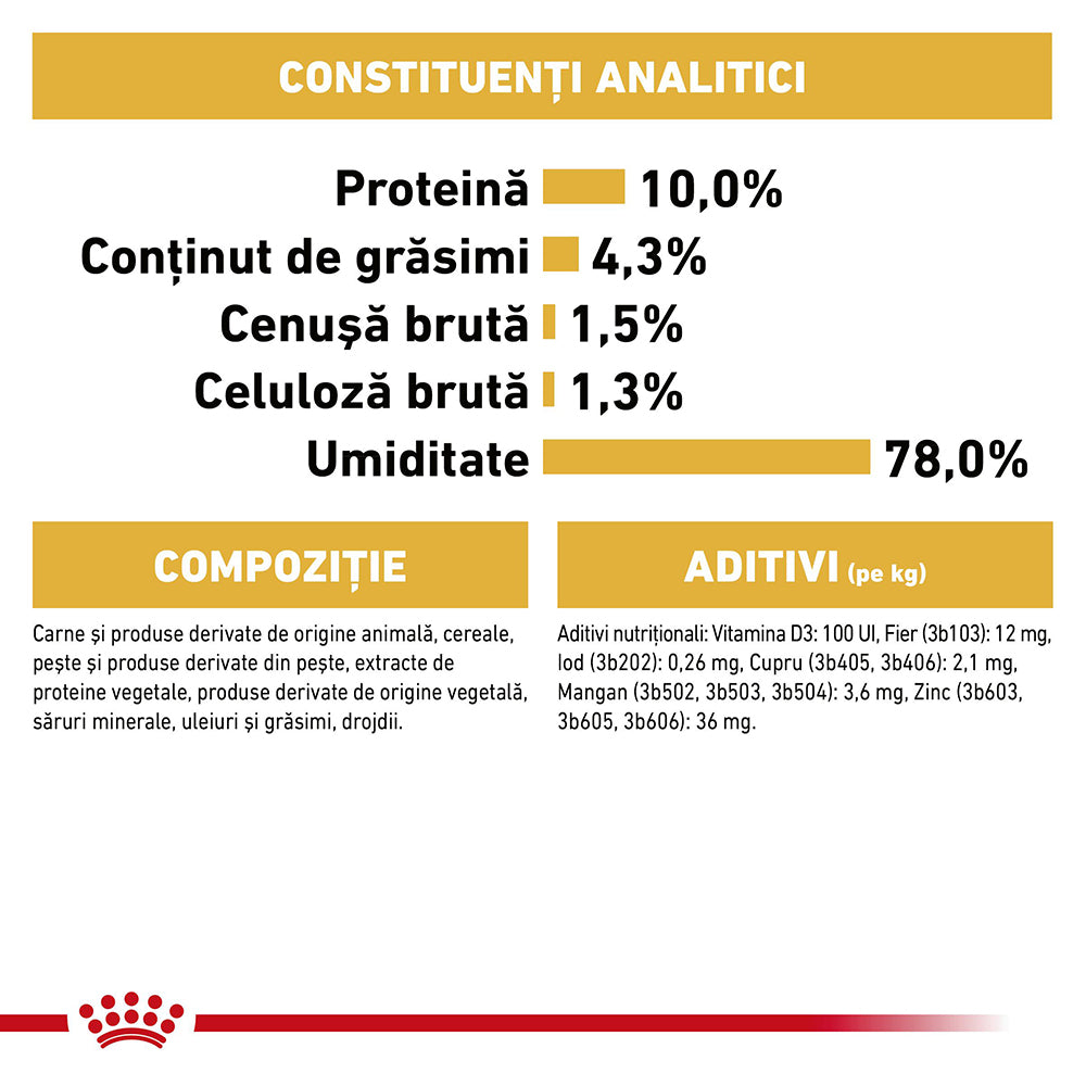 Royal Canin Maine Coon Adult hrana umeda pisica (in sos), 85 g