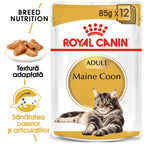 Royal Canin Maine Coon Adult hrana umeda pisica (in sos), 85 g