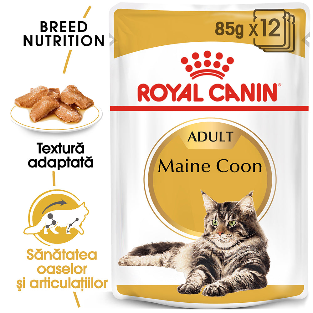 Royal Canin Maine Coon Adult hrana umeda pisica (in sos), 85 g