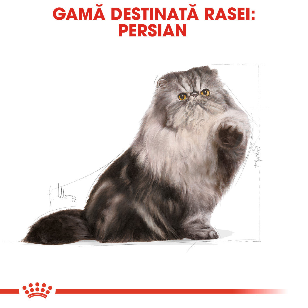 Royal Canin Persian Adult hrana uscata pisica