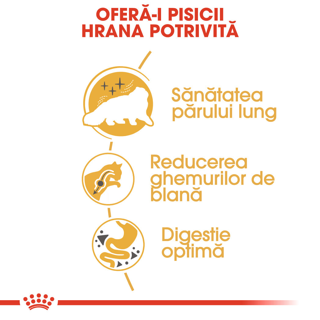 Royal Canin Persian Adult hrana uscata pisica