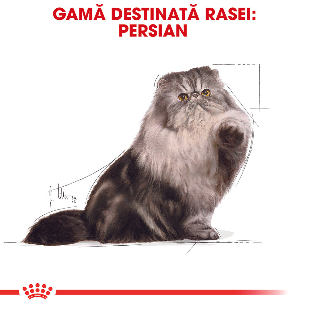 Royal Canin Persian Adult hrana umeda pisica (pate), 85 g