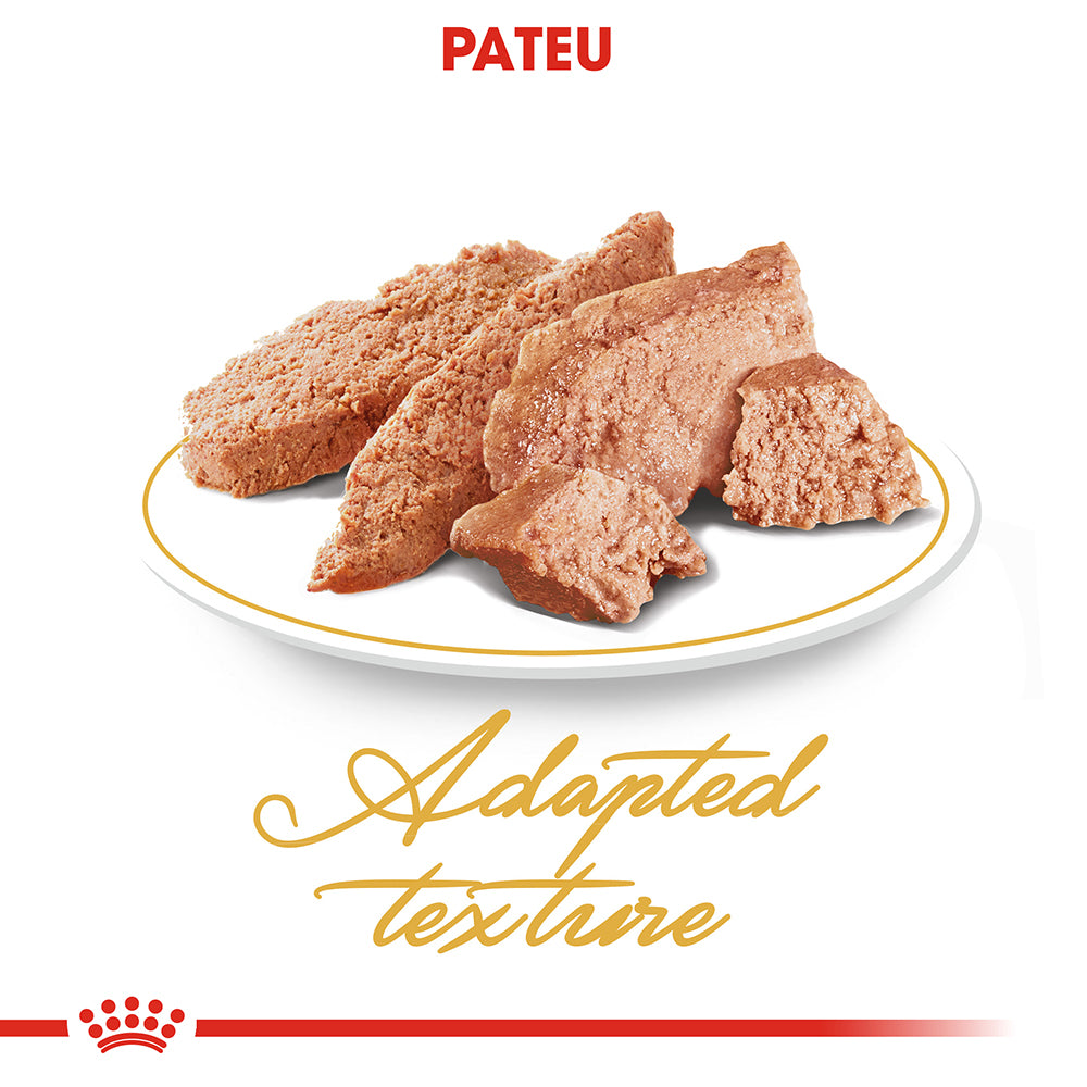 Royal Canin Persian Adult hrana umeda pisica (pate), 85 g