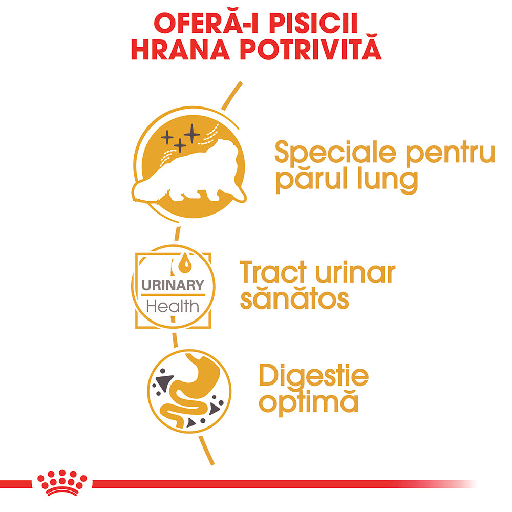 Royal Canin Persian Adult hrana umeda pisica (pate), 85 g