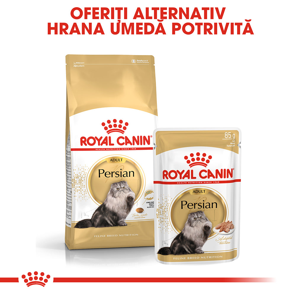 Royal Canin Persian Adult hrana umeda pisica (pate), 85 g