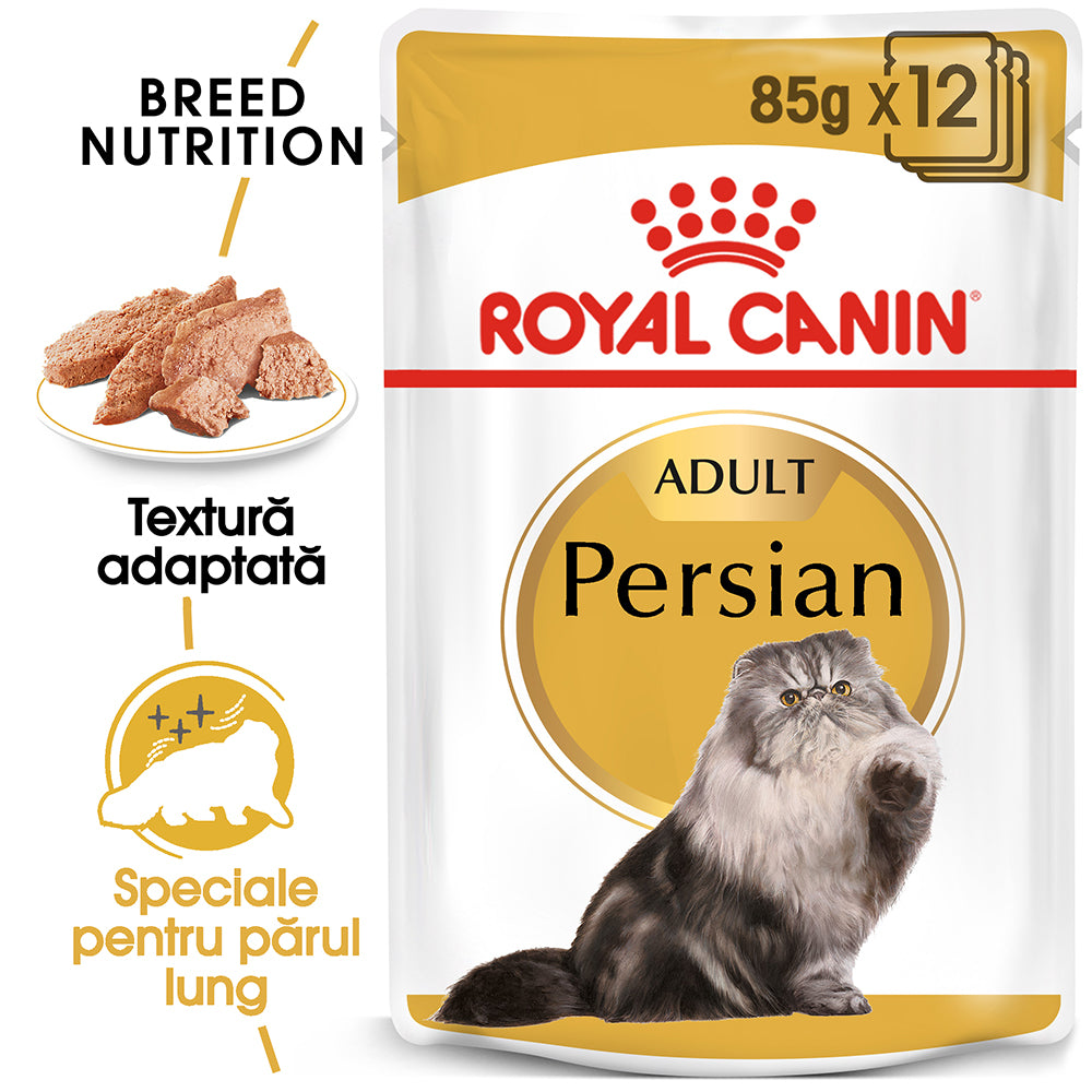 Royal Canin Persian Adult hrana umeda pisica (pate), 85 g