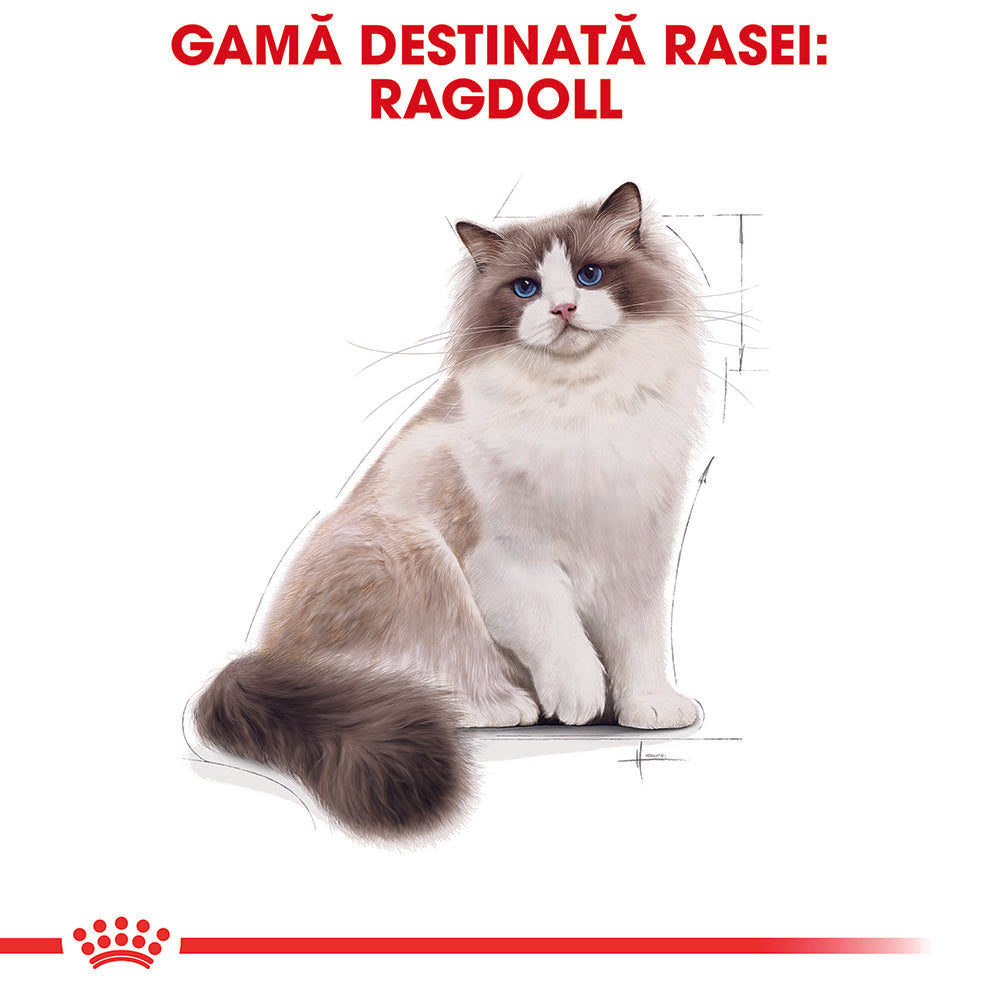 Royal Canin Ragdoll Adult hrana uscata pisica, 2 kg