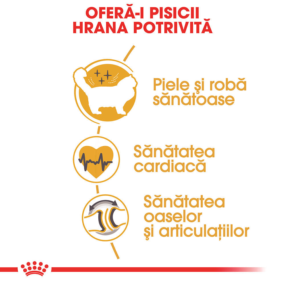 Royal Canin Ragdoll Adult hrana uscata pisica, 2 kg