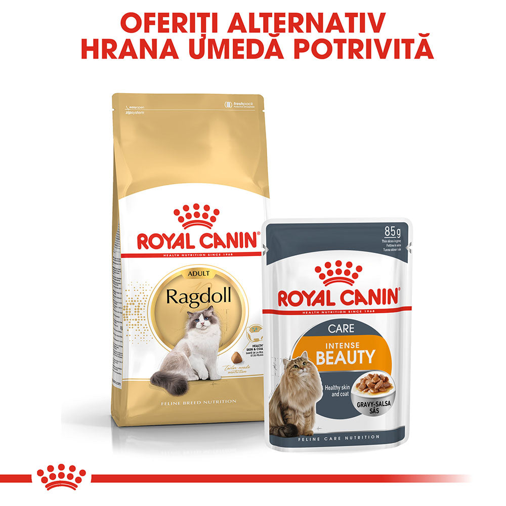 Royal Canin Ragdoll Adult hrana uscata pisica, 2 kg
