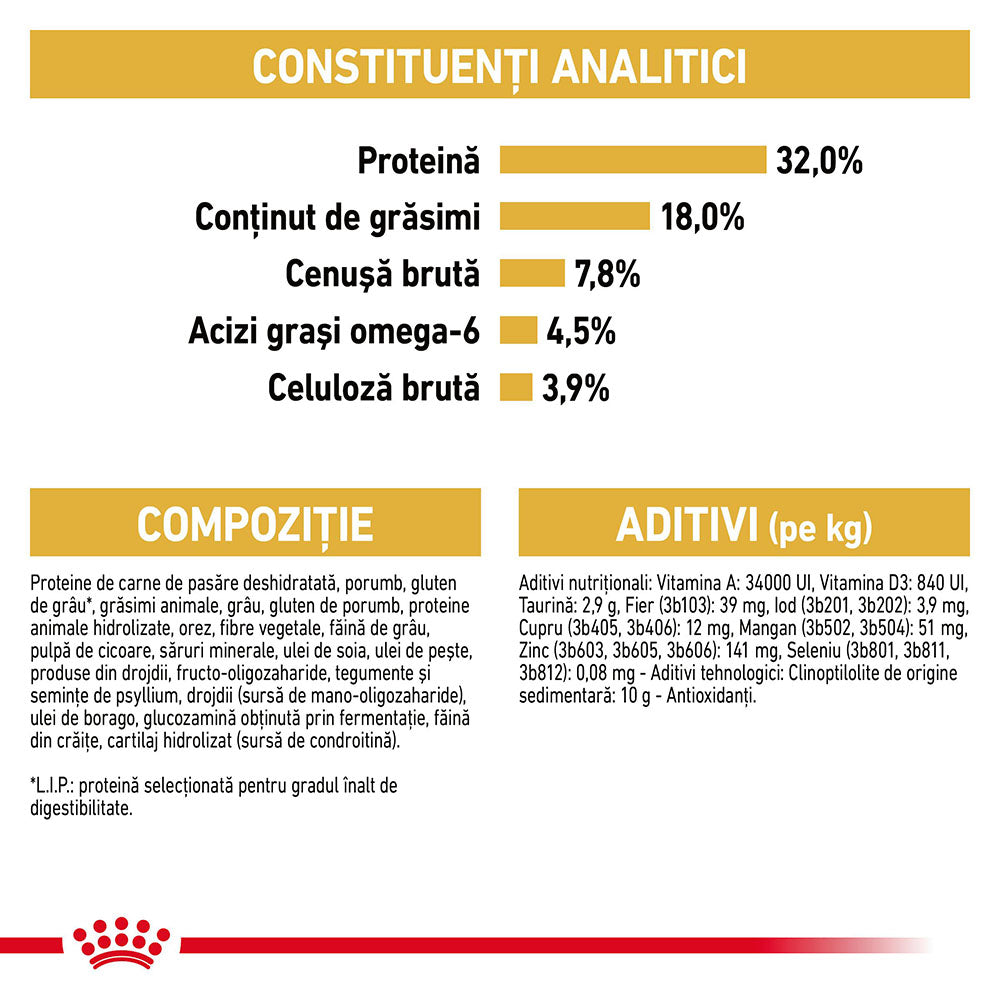 Royal Canin Ragdoll Adult hrana uscata pisica, 2 kg