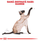Royal Canin Siamese Adult hrana uscata pisica, 2 kg