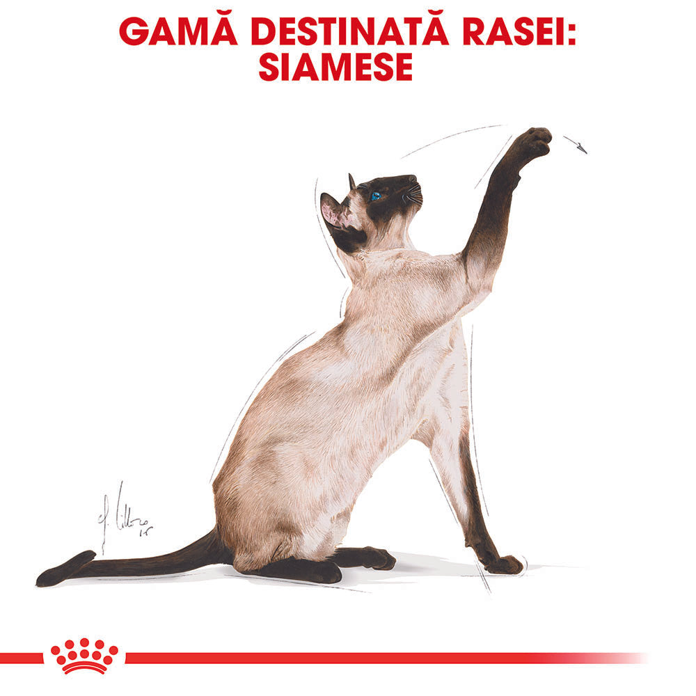 Royal Canin Siamese Adult hrana uscata pisica, 2 kg