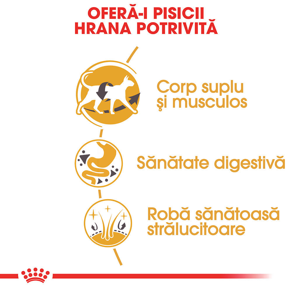 Royal Canin Siamese Adult hrana uscata pisica, 2 kg