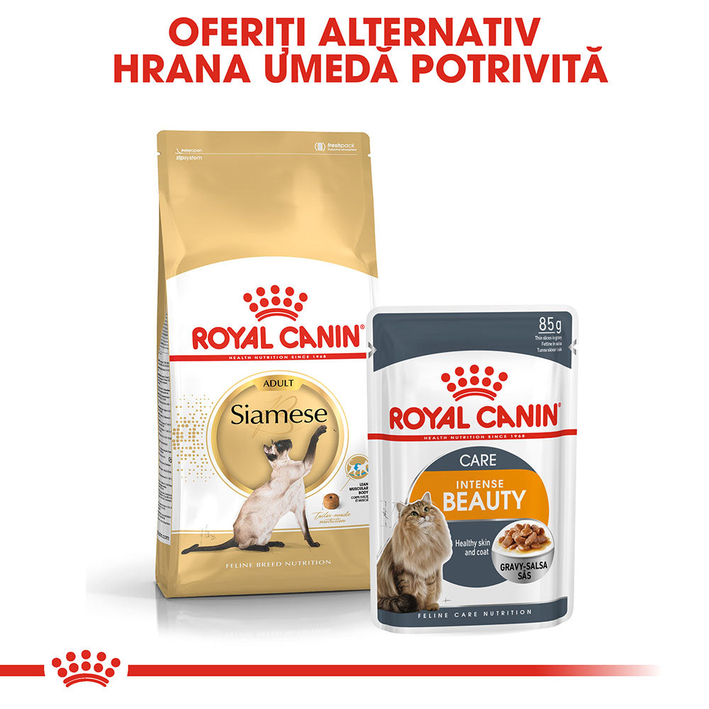 Royal Canin Siamese Adult hrana uscata pisica, 2 kg