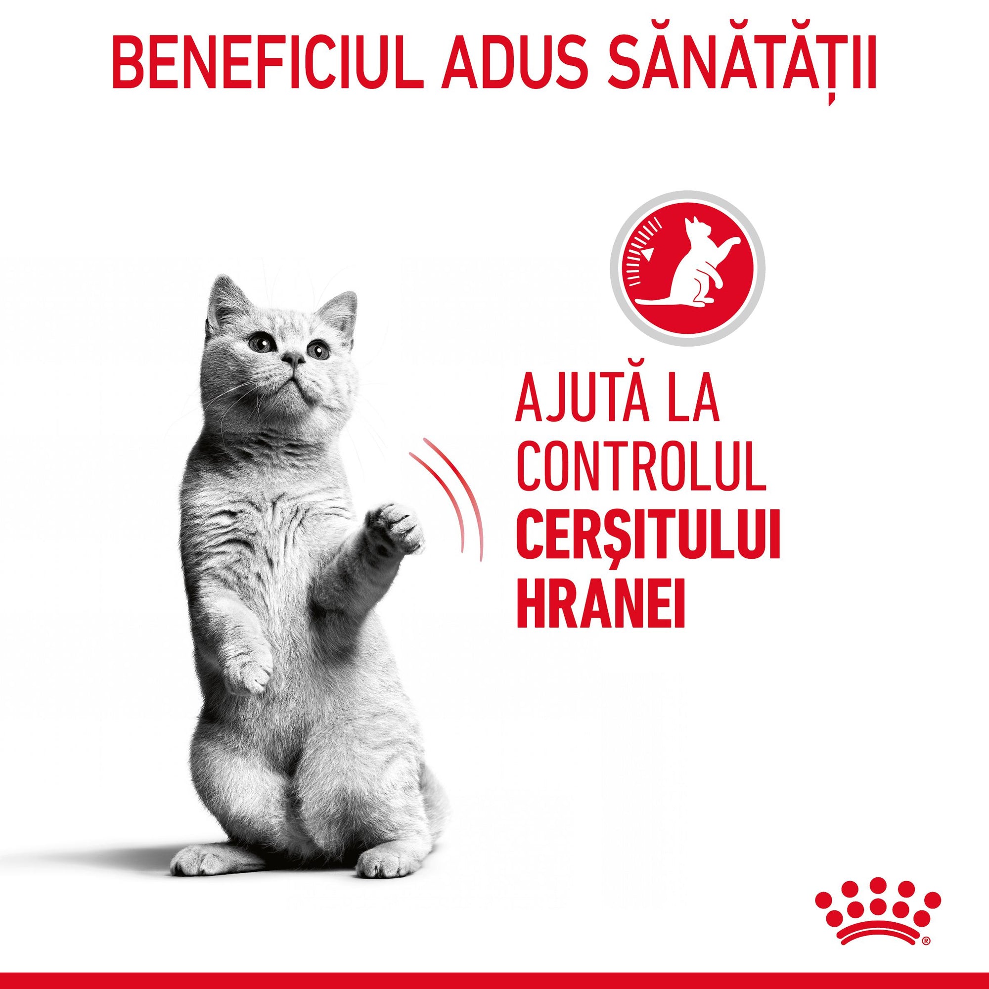 Royal Canin Appetite Control Care, hrana umeda pisici, adult sterilizat, reglarea apetitului, (in sos), 85g