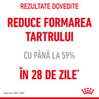 Royal Canin Oral Care Adult hrana uscata pisica, reducerea formarii tartrului