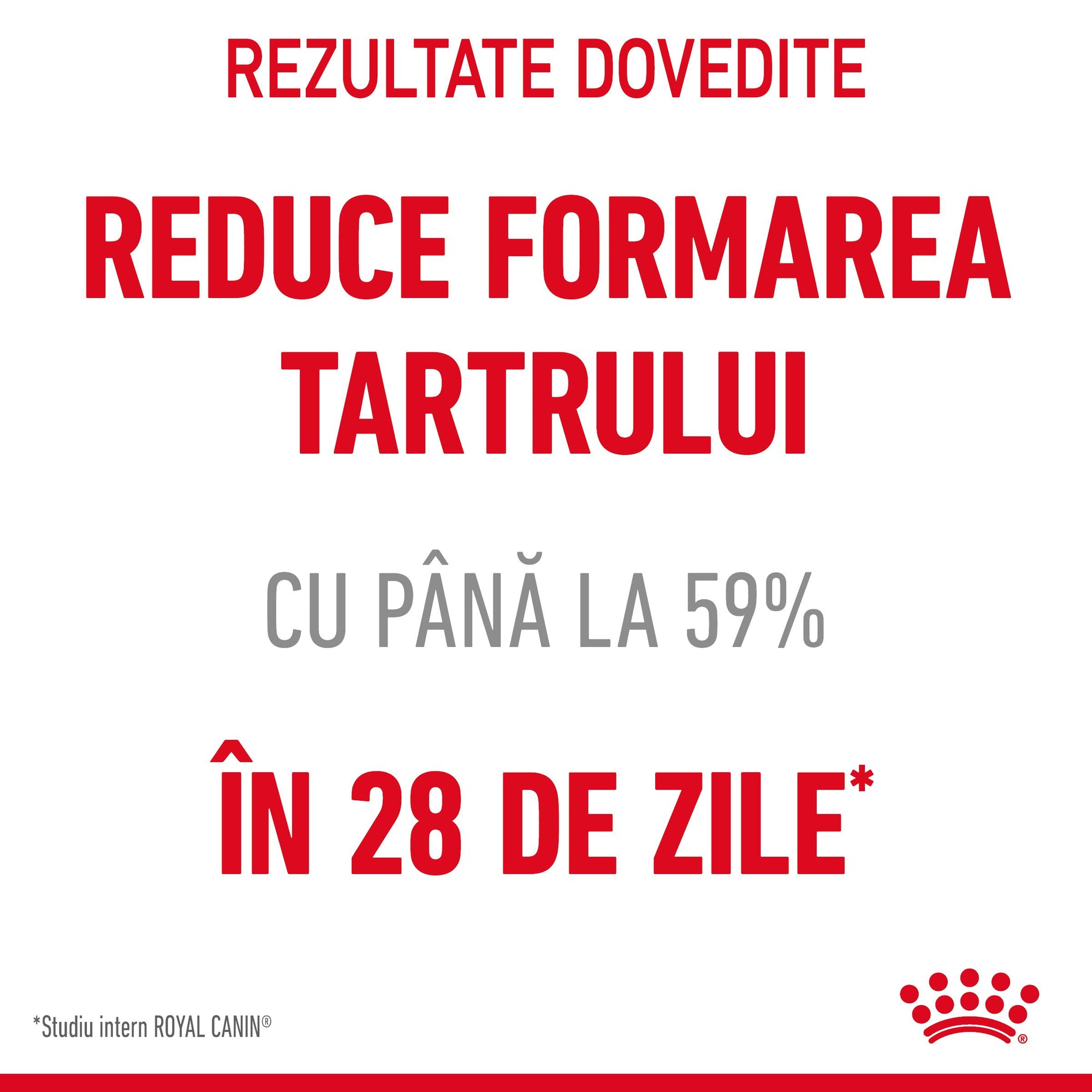 Royal Canin Oral Care Adult hrana uscata pisica, reducerea formarii tartrului