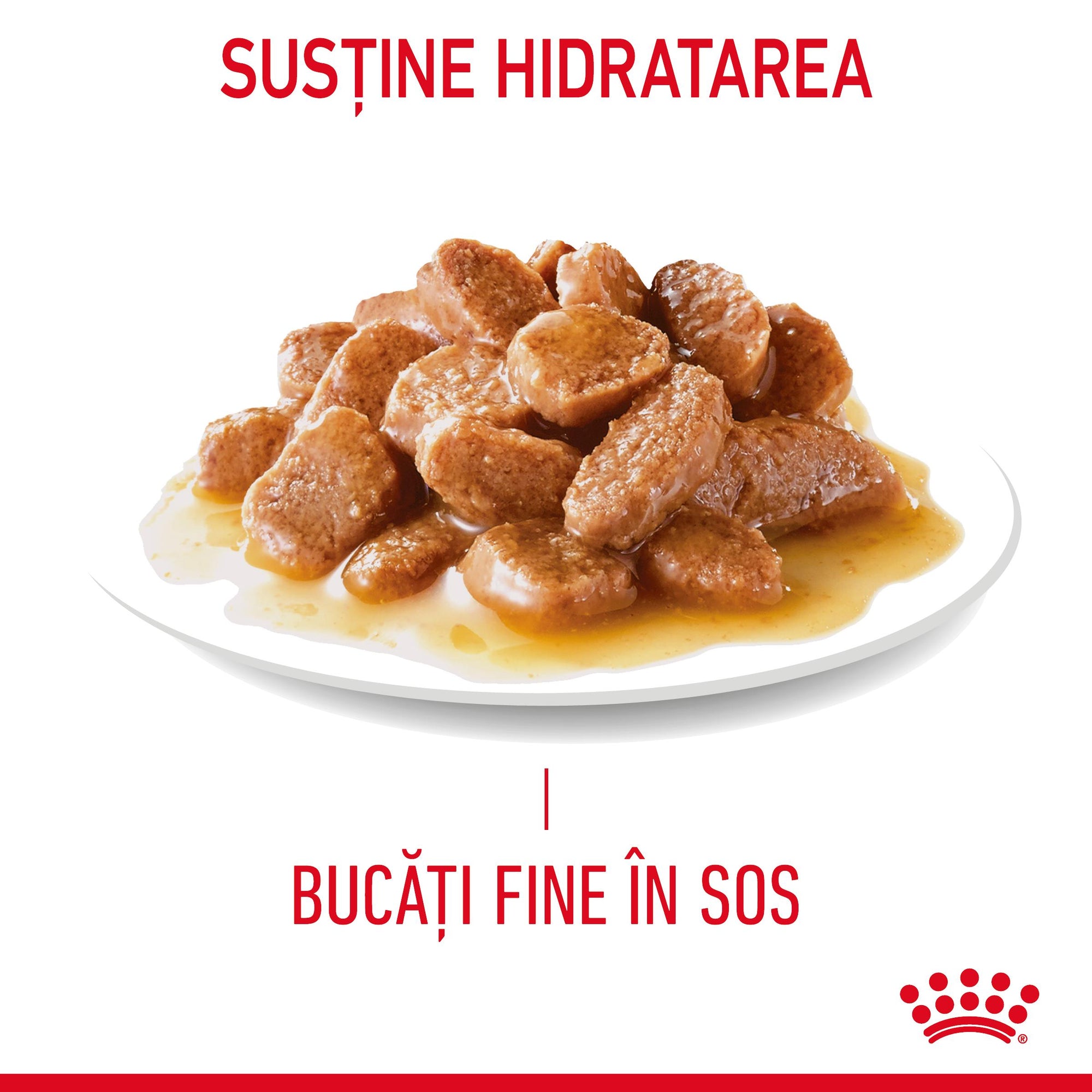 Royal Canin Digest Sensitive Care Adult hrana umeda pisica, confort digestiv (in sos), 85 g