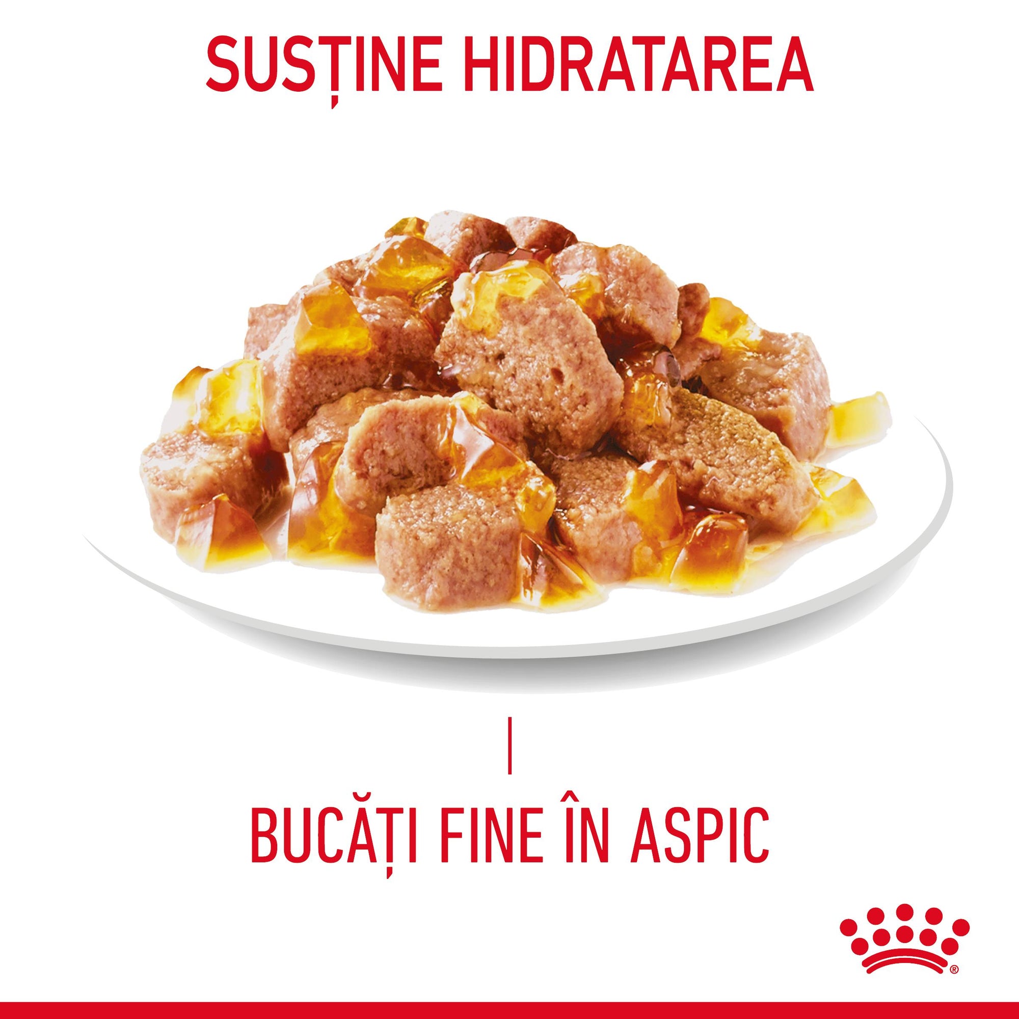 Royal Canin Hair&Skin Care Adult hrana umeda pisica, piele si blana (in aspic), 85 g